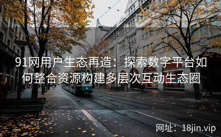 91网用户生态再造：探索数字平台如何整合资源构建多层次互动生态圈