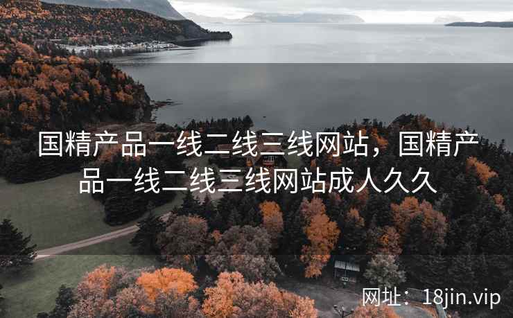 国精产品一线二线三线网站，国精产品一线二线三线网站成人久久