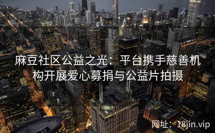 麻豆社区公益之光：平台携手慈善机构开展爱心募捐与公益片拍摄